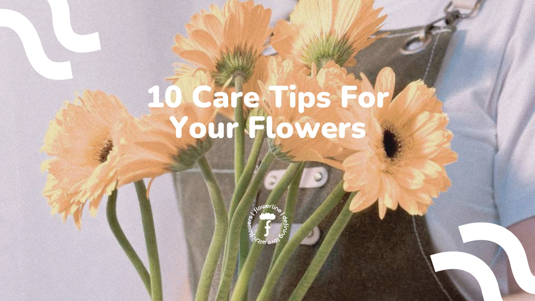 10 Care Tips for Your Flowers - Flowerline | Same Day Delivery in Metro Manila