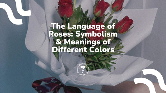 The Language of Roses: Symbolism and Meanings of Different Colors - Flowerline | Florist in Metro Manila